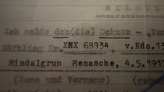 April 15, 1944 Gross- Rosen Write Up Archival Framed