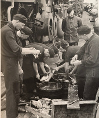 KRIEGSMARINE FRESH CATCH! SAILORS CUT FISH WW2 German Third Reich Photo 5×3.5″