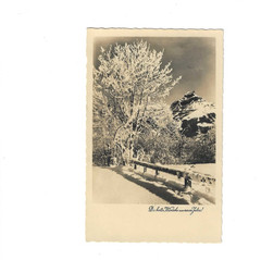 GERMANY 1934 Picture Post Card sent from Berlin – Slogan Cancel