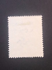 SUDETENLAND WWII-GERMAN OCC. Local ovpt (ROSSHAUPT) 6+24 Rpf. MINT NO GUM #526