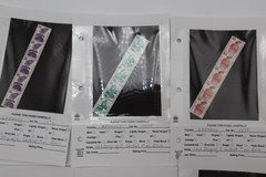 GERMANY COIL STRIP OF 5 PARTIAL SET WITH CONTROL NUMBER 1074-1083 TS70