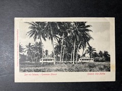 1903 Germany East Africa RPPC Postcard Cover Dar Es Salam to Darmstadt