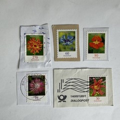5 Germany stamps~2019~Flowers~hawkweed~cornflower~nasturtium~knapweed~day lily