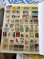 Germany (mostly DDR) Used Stamp Collection Lot in Stockbook (some duplicates)