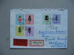 GERMANY DDR, expresse R-cover 1968, insects beetle ladybug
