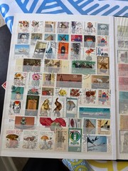 Germany (mostly DDR) Used Stamp Collection Lot in Stockbook (some duplicates)