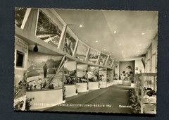 Germany – Berlin : Nice card from 1954 – CTO – fancy cancel
