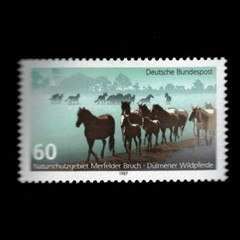 Germany, Scott 1512, Wild Horses, 1987, MNH, 107419