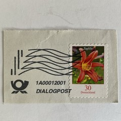 5 Germany stamps~2019~Flowers~hawkweed~cornflower~nasturtium~knapweed~day lily