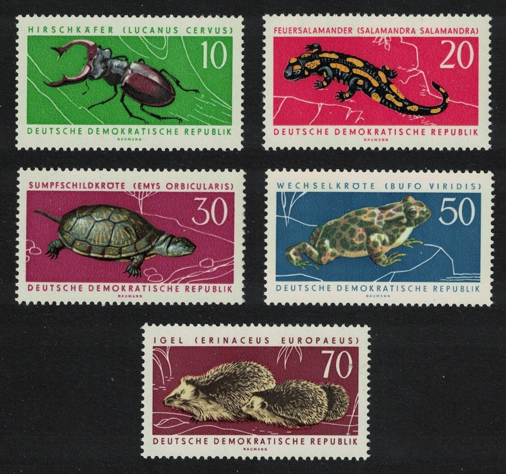GDR Beetle Salamander Turtle Toad Hedgehof Fauna 5v 1963 MNH SG#E699-E703