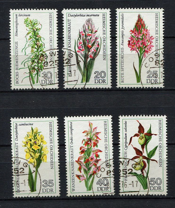Germany – DDR : European Orchids set from 1976 – used
