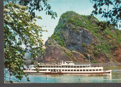 Germany Rhine passenger ship Dusseldorf post card Zoo Koln cancel to Netherlands