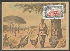 ✔️ Deutsches Reich Colonies 1910 South-West Africa RARE POSTCARD – REPRODUCTION