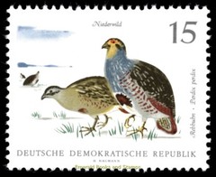EBS East Germany DDR 1968 – Small Game Animals – Michel 1357-1362 – MNH**