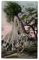 Turkey 1910 AK TERMITE HILL By KEETMANSHOOP (DA2843)
