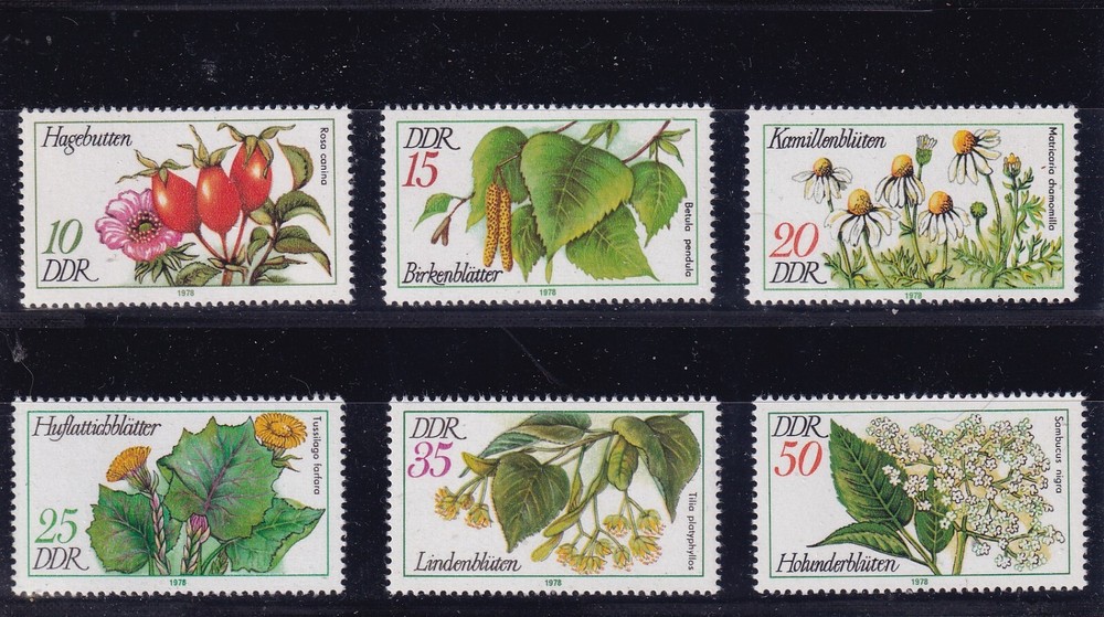 DDR MNH ** 2287-92 SC 1875-80 Flowers