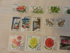 Lot of 36 East Germany Stamps from 1978-1982 Animals, Ships, Roosters, More