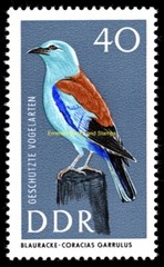 EBS East Germany DDR 1967 – Protected Birds – Michel 1272 1277 – MNH**