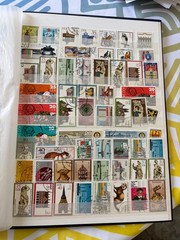 Germany (mostly DDR) Used Stamp Collection Lot in Stockbook (some duplicates)