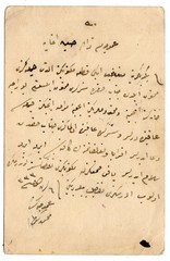Turkey 1918 Censorship Card With Beetle Print (DA8907
