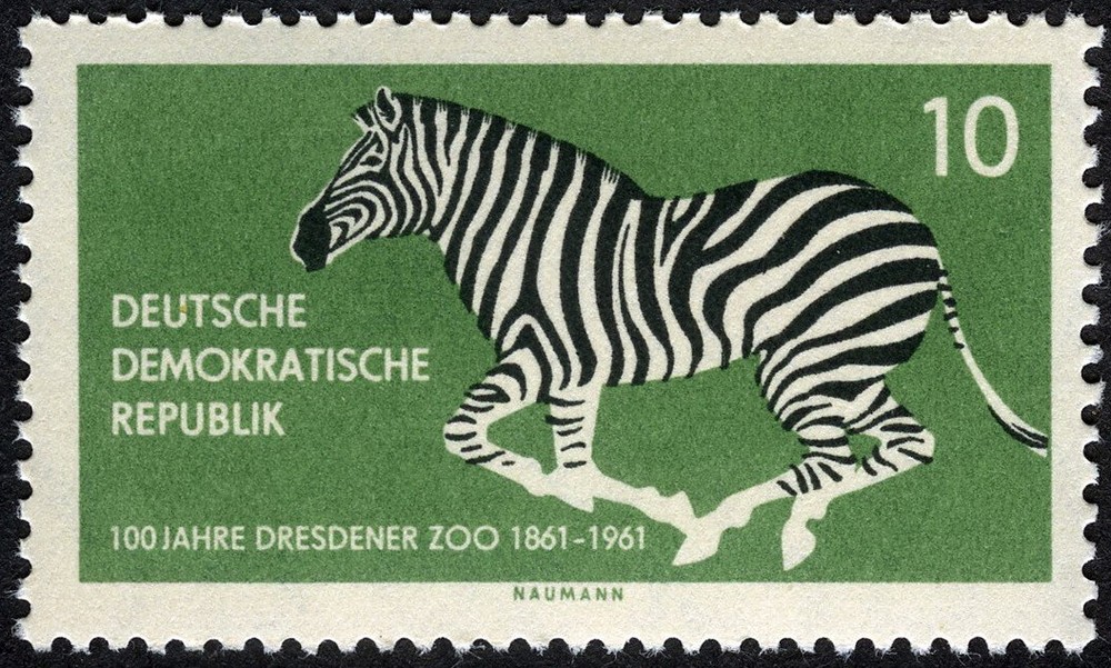 Germany DDR 1961 Dresden Zoo Centennial Zebra MNH (SC# 552)