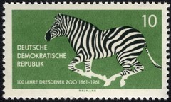 Germany DDR 1961 Dresden Zoo Centennial Zebra MNH (SC# 552)