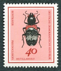 GERMANY East DDR 1968 40pf SGE1137 MNH FG Beetles Pseudoclerops mutillarius #B05