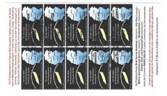 Brief Service Muldental Flooding With White Border 10 Sheet Pack