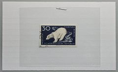 Germany DDR 30pf Polar Bear Tierpark Berlin Stamp Used