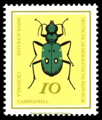 EBS East Germany DDR 1968 – Beautiful Beetles – Michel 1411-1416 – MNH**