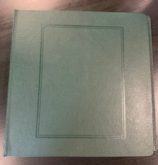 German & State Stamps in Scott Specialty 3 ring album M&U -1938 incl BOB L2034