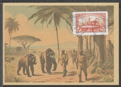 ✔️ Deutsches Reich Colonies 1910 South-West Africa RARE POSTCARD – REPRODUCTION