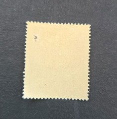 2 Germany WW2 Third Reich Army Storm Trooper & SS stamps 1945