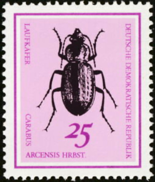 DDR #Mi1414 MNH 1968 Ground Beetle [1051]
