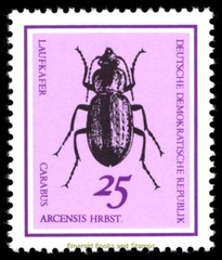 EBS East Germany DDR 1968 – Beautiful Beetles – Michel 1411-1416 – MNH**