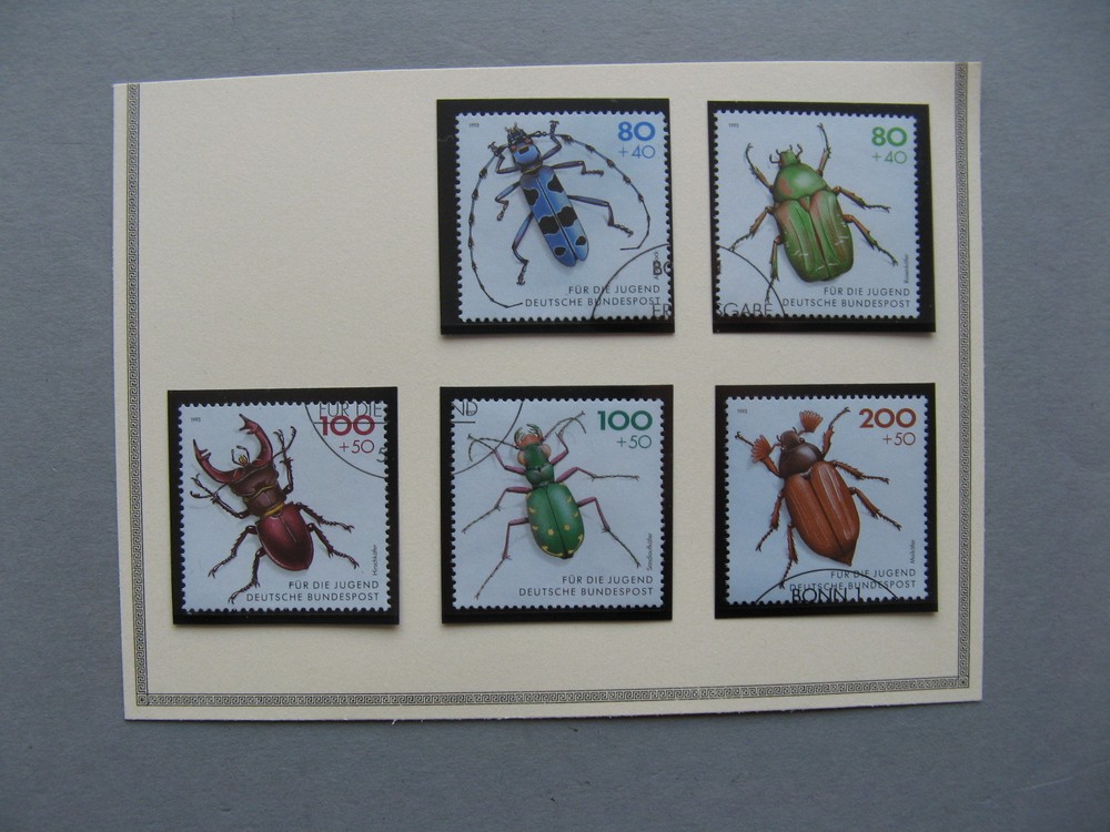 GERMANY BRD, set CTO 1993, insect beetle
