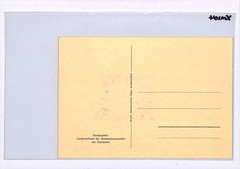 SAAR FDC *TAG DER BRIEFMARKE* 1952 Card IMOSA Saarbrücken Germany HORSES XM104