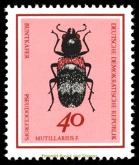 EBS East Germany DDR 1968 – Beautiful Beetles – Michel 1411-1416 – MNH**