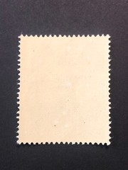 Germany WWII propaganda fantasy overprint (SCHODEN) 6+4 Rpf. MNH #226