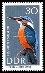 EBS East Germany DDR 1967 – Protected Birds – Michel 1272 1277 – MNH**