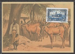 ✔️ Deutsches Reich Colonies 1910 German New Guinea RARE POSTCARD – REPRODUCTION
