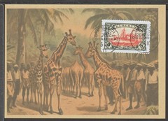 ✔️ Deutsches Reich Colonies 1910 KAMERUN RARE POSTCARD – REPRODUCTION
