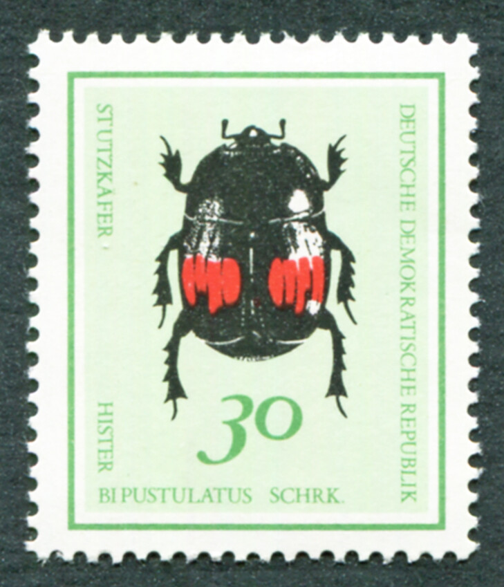 GERMANY East DDR 1968 30pf SGE1136 mint MNH FG Beetles Hister bipustulatus #B05