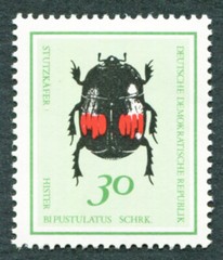 GERMANY East DDR 1968 30pf SGE1136 mint MNH FG Beetles Hister bipustulatus #B05