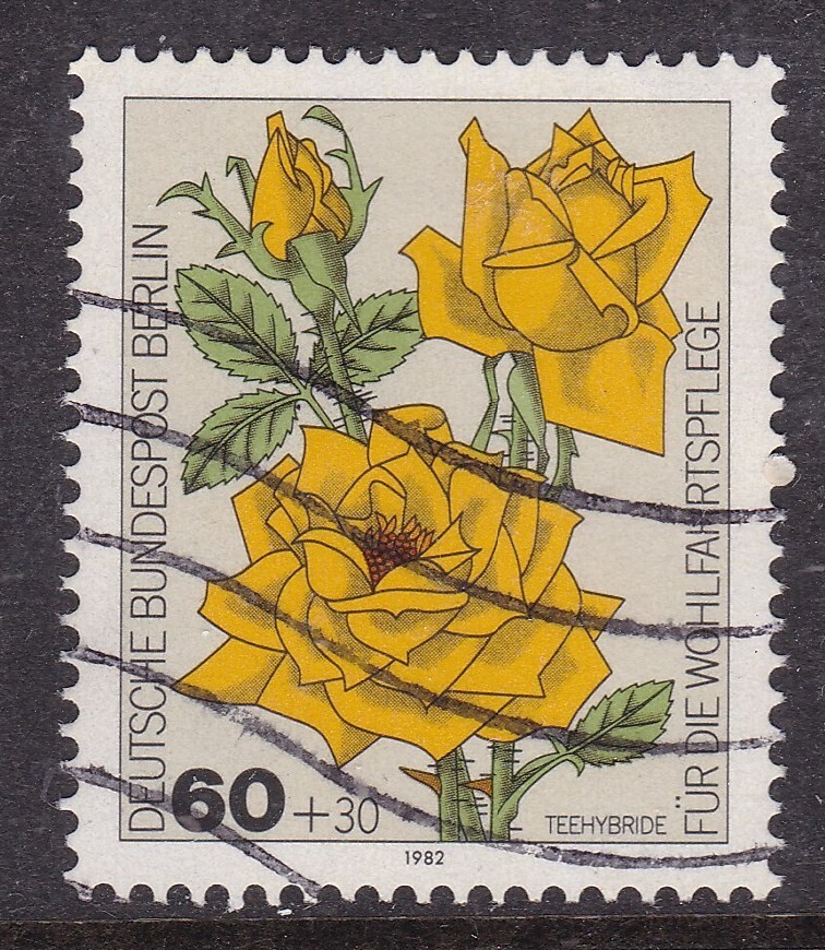 Berlin 1982 Hybrid Tea Rose 60 + 30pf Fine Used SG B643 VGC