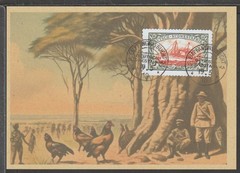 ✔️ Deutsches Reich Colonies 1910 South-West Africa RARE POSTCARD – REPRODUCTION
