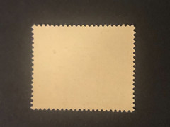 Germany WWII propaganda fantasy overprint (NURNBERG) 6+4 Rpf. MNH /s1 #b25