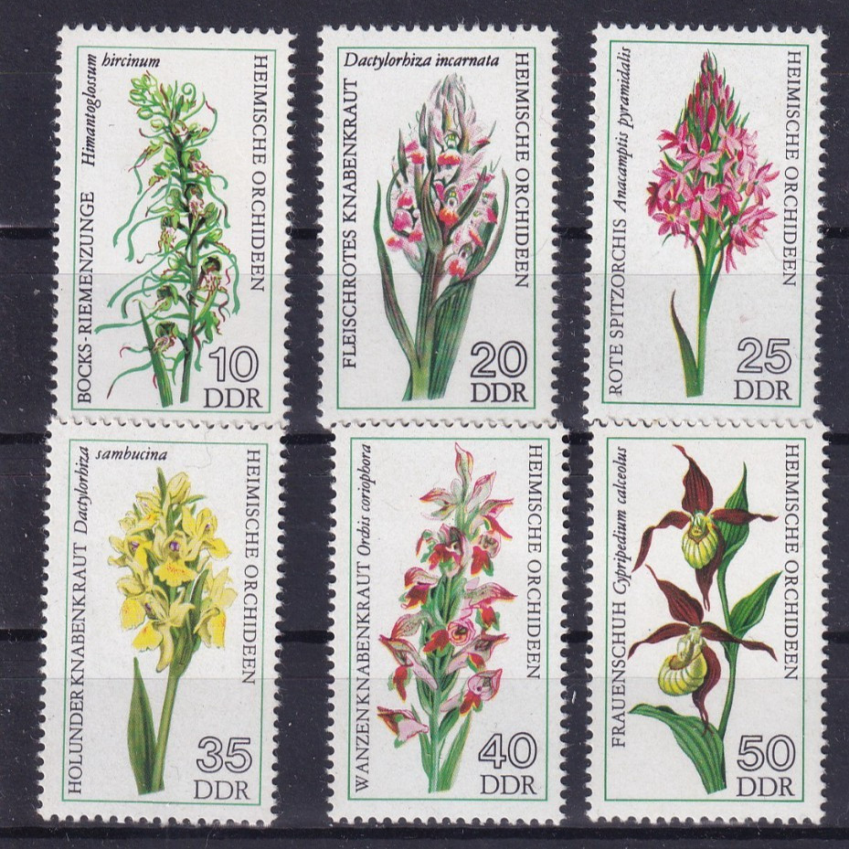 DDR MNH ** 2135-40 Scott 1729-34 Orchids