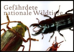GERMANY MINISTER CARD 2021 FAUNA – BEETLE – BIG SIZE !!! VERY RARE!! u1176