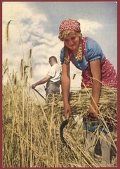 German WW2 Third Reich Artist Postcard Harvest Time